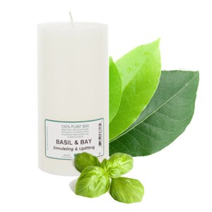830_e.o candles 6x3_basil&bay_copy_300x300.jpg